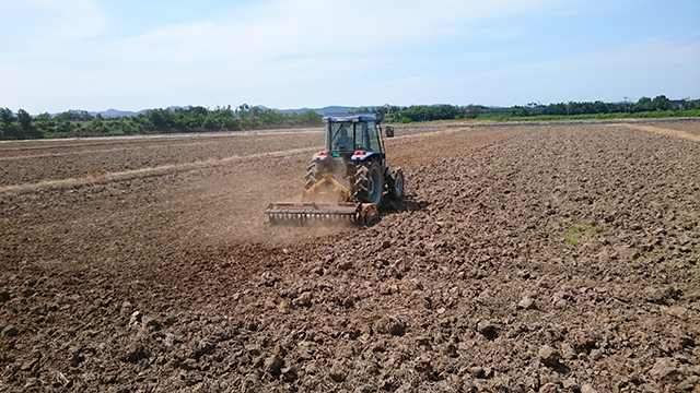 新潟県産大豆 エンレイ（1）