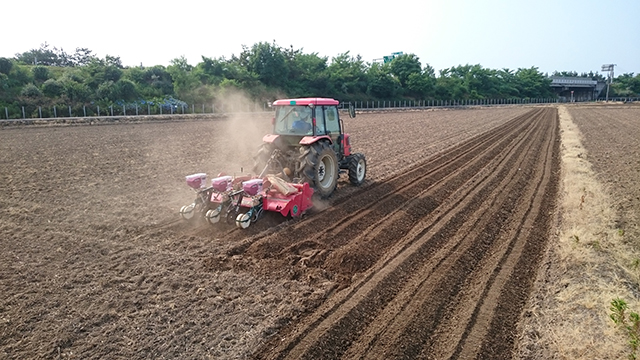 新潟県産大豆 エンレイ（2）