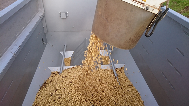 新潟県産大豆 エンレイ（15）