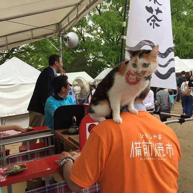 地域活動 イベント参加（15）